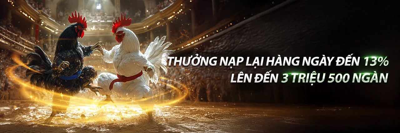 Đá gà trực tuyến sôi động tại 9vnd casino