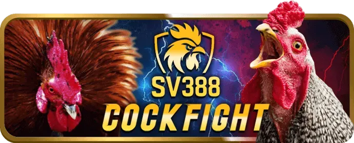 Ưu đãi hàng ngày và hàng tuần 9vnd Casino